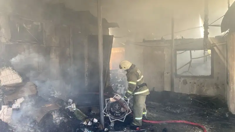 Крупный пожар разгорелся в Алматинской области