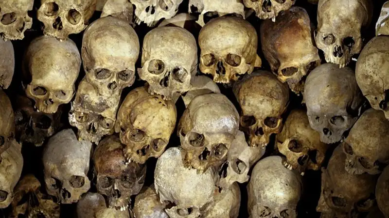 Массовое захоронение младенцев и детей обнаружили в Великобритании