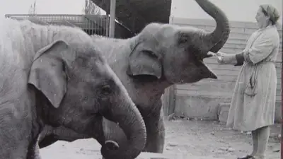 Алматинский зоопарк поделился архивными снимками, фото - Новости Zakon.kz от 09.09.2024 12:00