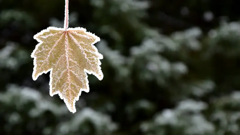 Снег и дожди с грозами прогнозируют синоптики в Казахстане 10 сентября