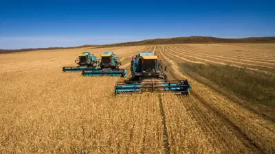 Ставка на кормовые культуры и современные технологии, фото - Новости Zakon.kz от 11.09.2024 11:26