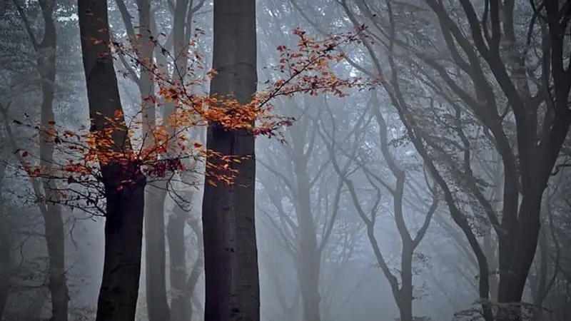 Туман, шквал и гроза: в Астане и 16 областях РК объявили штормовое предупреждение