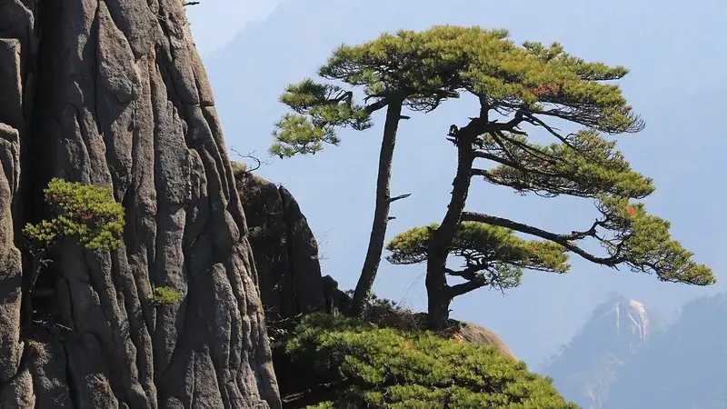 Экшн-камера записала падение мужчины со скалы в Китае