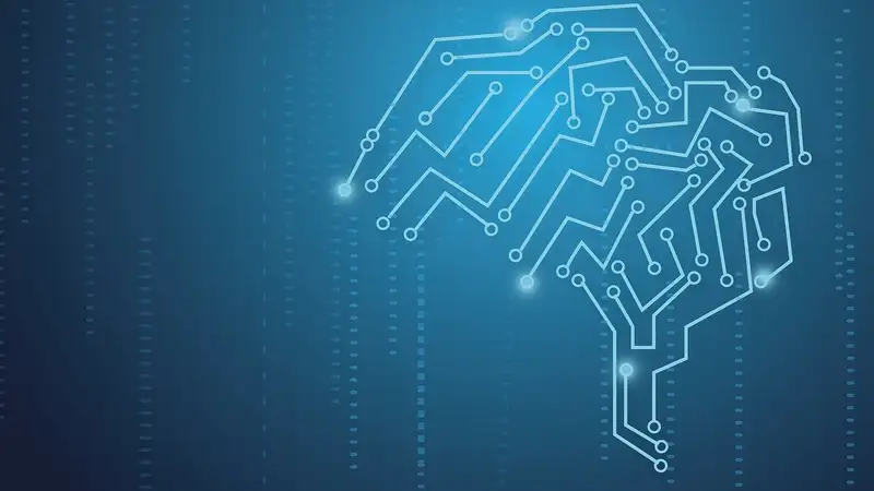 Мозг мужчин уменьшается в течение дня – исследование