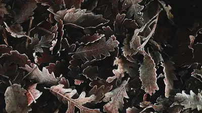 Прогноз погоды на 26-28 сентября: сильные дожди в Алматы, морозы в Астане, фото - Новости Zakon.kz от 25.09.2024 16:00