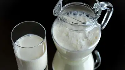 Чем молокосодержащий продукт отличается от молока, фото - Новости Zakon.kz от 26.09.2024 15:08