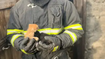 Спасатели потушили пожар, фото - Новости Zakon.kz от 26.09.2024 08:52