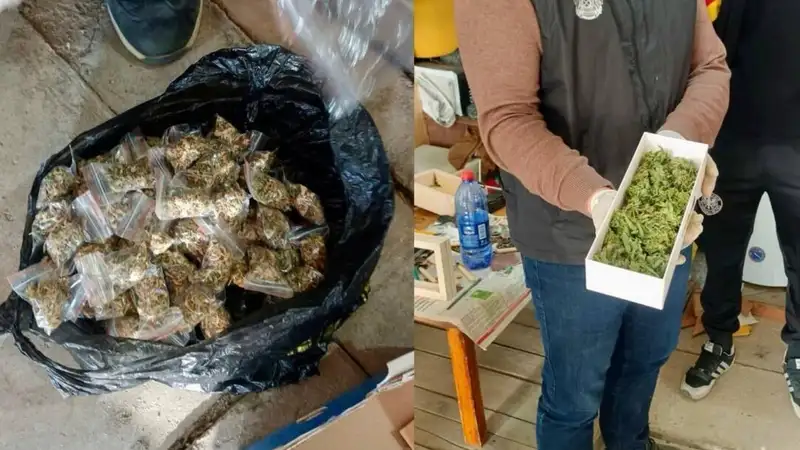 Житель Уральска хранил в гараже наркотики, оружие и оборудование для фитолаборатории