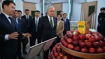 Работы не боится: Токаев похвалил акима Туркестанской области, фото - Новости Zakon.kz от 27.09.2024 18:36