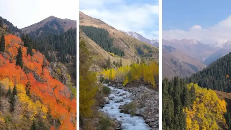 Снежные вершины и чистая вода в реках: иностранцы оценили ролик с видами алматинских гор