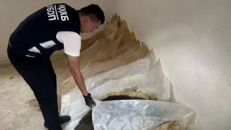 Мини-цех по изготовлению насвая обнаружили в Туркестанской области