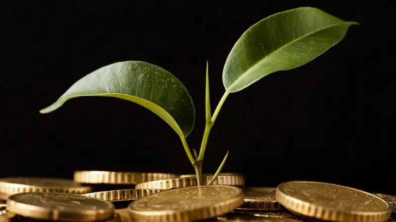 Курс доллара продолжает расти из-за ситуации на Ближнем Востоке