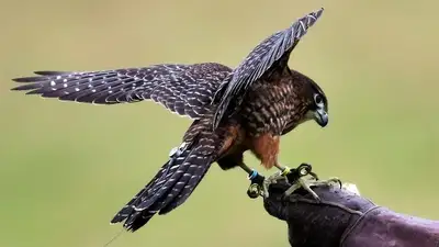 Референдум, фото - Новости Zakon.kz от 06.10.2024 16:22