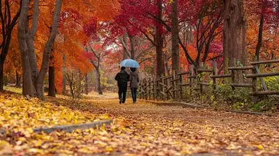 штормовое предупреждение, фото - Новости Zakon.kz от 06.10.2024 19:44