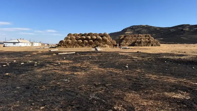 В Карагандинской области пострадавшим от степного пожара пообещали компенсацию