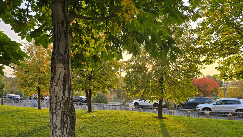 Закружилась листва золотая: Алматы нарядился в пестрое одеяние