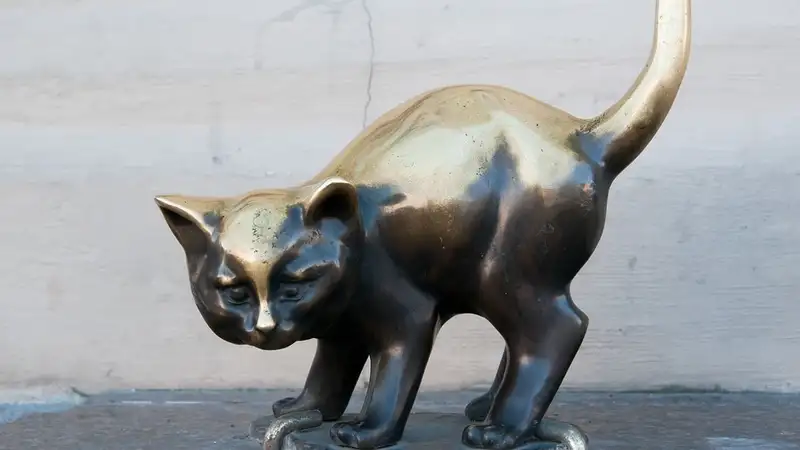 В Китае владельцы кошек и собак начали отправлять их на работу