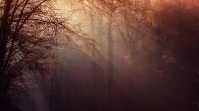 штормовое предупреждение, фото - Новости Zakon.kz от 18.10.2024 20:07