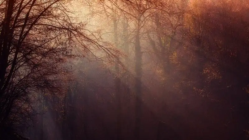 Туман, заморозки и ливень: в 11 областях Казахстана объявили штормовое предупреждение