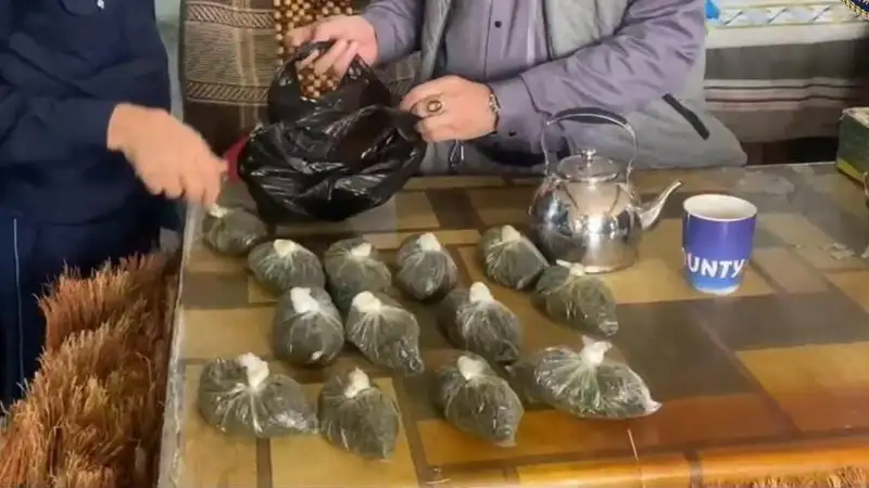Полицейские Туркестанской области изъяли 45 килограммов наркотических средств