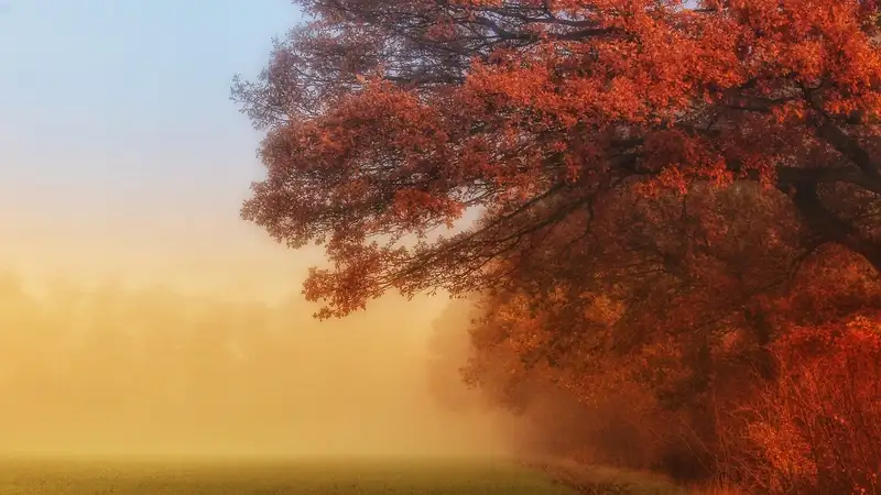 В каких регионах Казахстана на среду объявили штормовое предупреждение