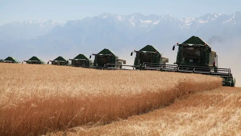 Поддержка АПК: более 11 тысяч фермеров Жамбылской области получили 19,7 млрд тенге субсидий