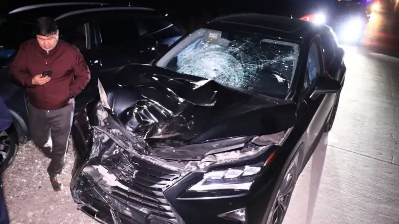 На трассе близ Алматы автомобиль сбил насмерть перебегавшего дорогу мужчину