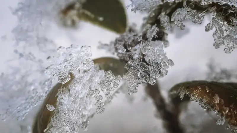 Гололед, туман и дожди: в каких регионах Казахстана объявили штормовое предупреждение