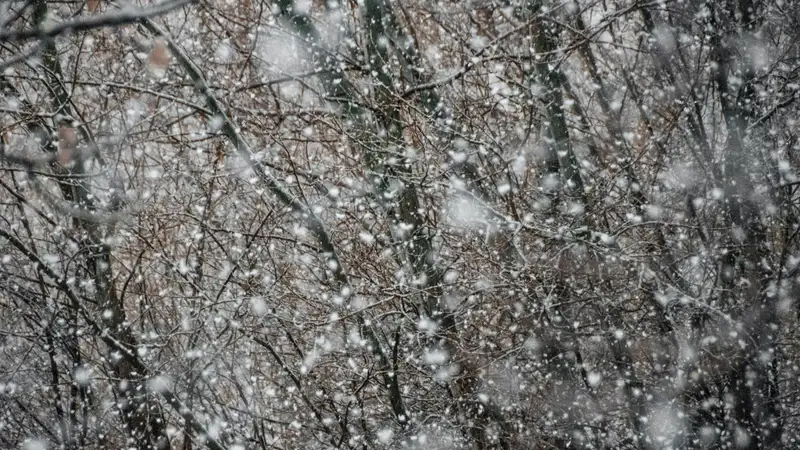 Сильный ветер, осадки, гололед и туман: прогноз погоды в Казахстане на 29 октября