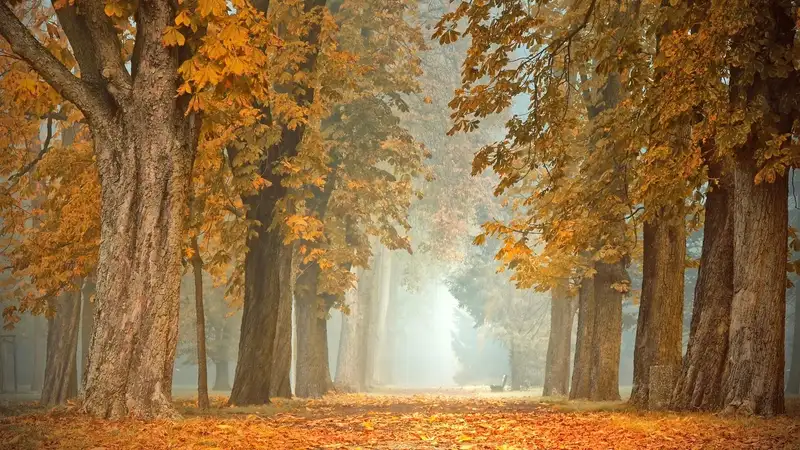 Туман, гололед и сильный ветер: в 13 областях Казахстана объявили штормовое предупреждение