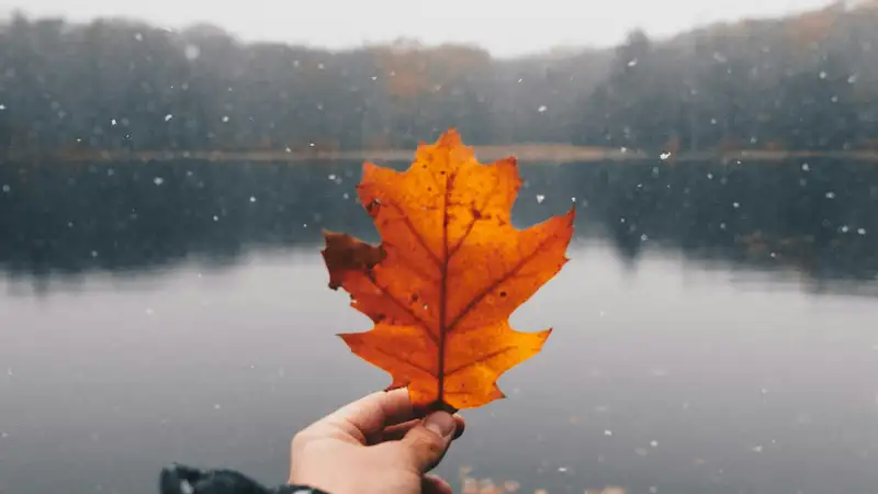 Синоптики дали прогноз погоды в Казахстане на 30 октября