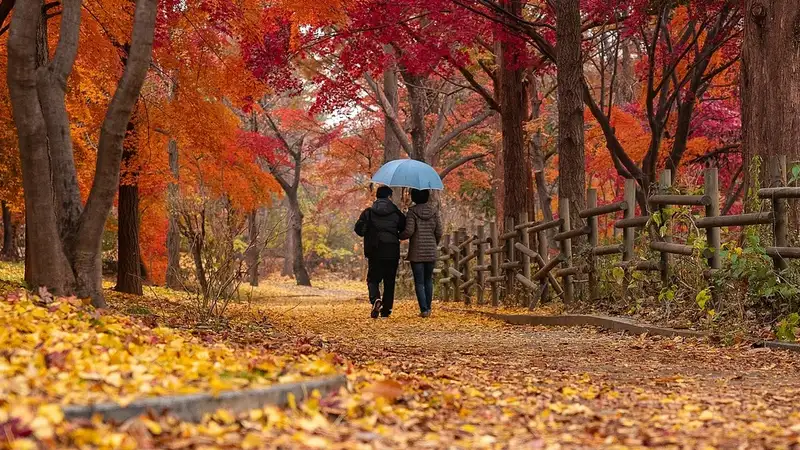 Что ожидает знаки зодиака в последний день октября