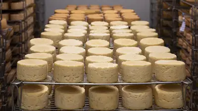 В Лондоне арестован мужчина, укравший 24 тонны элитного сыра, фото - Новости Zakon.kz от 01.11.2024 02:51