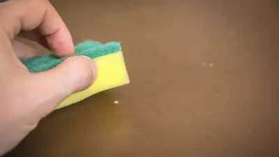 Какие предметы в доме нужно менять часто, чтобы они не навредили, фото - Новости Zakon.kz от 01.11.2024 09:36