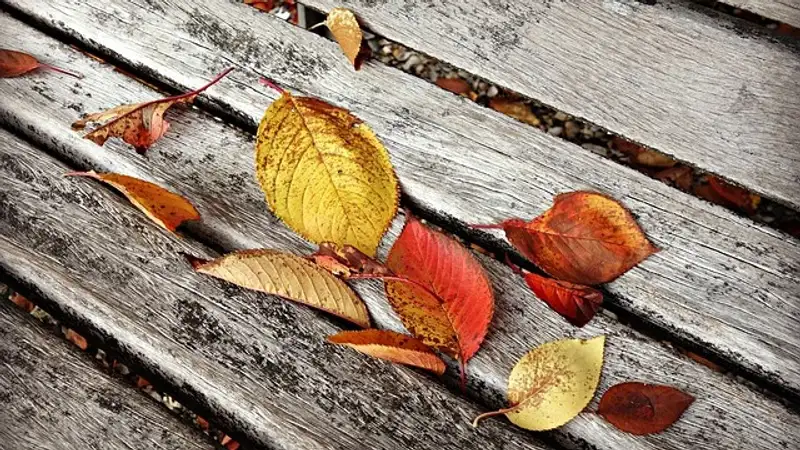 1 ноября Иванов день: народные приметы о погоде и что нельзя делать