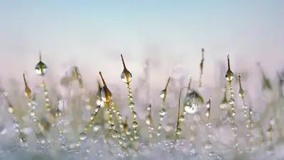 штормовое предупреждение, фото - Новости Zakon.kz от 02.11.2024 20:19