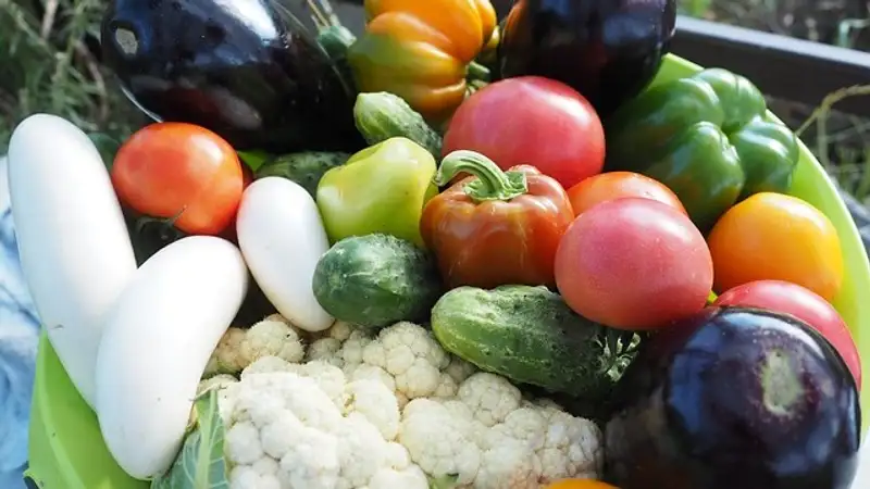 80% вегетарианцев раз в неделю едят мясо – эксперт