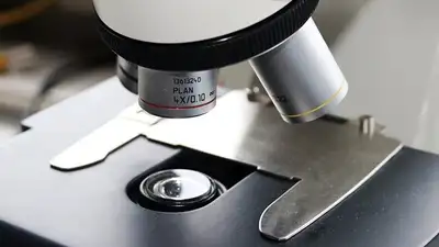 исследование, фото - Новости Zakon.kz от 03.11.2024 01:52