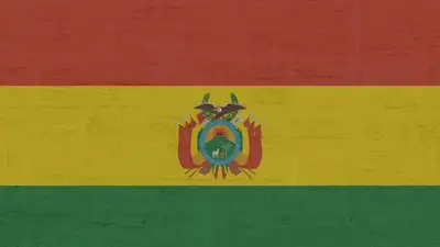 Боливия, флаг Боливии, фото - Новости Zakon.kz от 02.11.2024 13:41