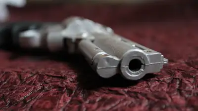 Мужчина, подозреваемый в убийстве двух человек в Австрии, найден мертвым, фото - Новости Zakon.kz от 03.11.2024 08:29