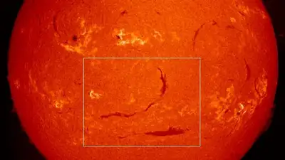 солнце, фото - Новости Zakon.kz от 03.11.2024 14:06