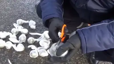 Автомобиль с крупной партией наркотиков остановили полицейские Кызылординской области, фото - Новости Zakon.kz от 01.11.2024 18:32