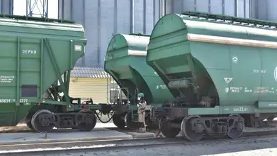 Казахстан достиг исторического рекорда погрузки продуктов перемола, фото - Новости Zakon.kz от 05.11.2024 22:05