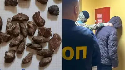 Маскировка наркотиков под камни: в Павлодаре раскрыта сеть сбыта через Telegram, фото - Новости Zakon.kz от 05.11.2024 12:45
