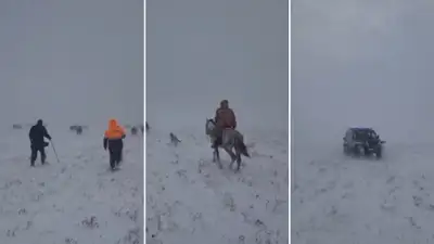 Актюбинские спасатели обнаружили пропавшего в метели фермера, фото - Новости Zakon.kz от 07.11.2024 04:42