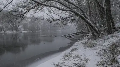 штормовое предупреждение, фото - Новости Zakon.kz от 07.11.2024 20:04