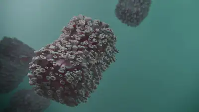 В Великобритании выявлено четыре случая нового штамма оспы обезьян , фото - Новости Zakon.kz от 07.11.2024 07:21