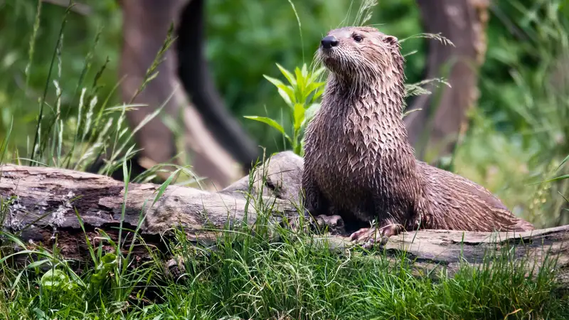 Зоопарк Алматы поделился радостным событием