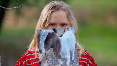 Американка получит 300 тыс. долларов по мировому соглашению с полицией, фото - Новости Zakon.kz от 08.11.2024 02:22