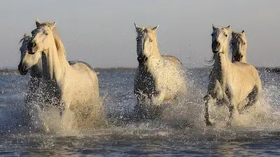 Мода, фото - Новости Zakon.kz от 10.11.2024 07:00